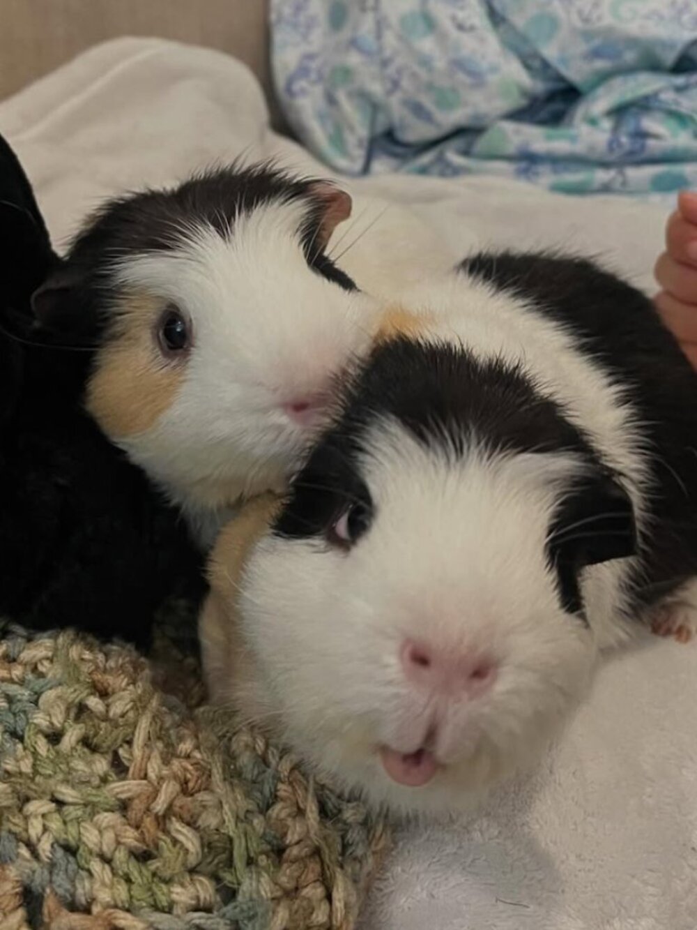 Meet your Poshers, Sydney and Ryan